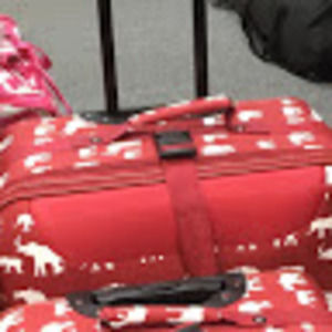 Meet your Posher, Sybil